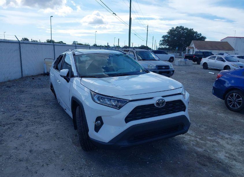 2019 Toyota Rav4 XLE PREMIUM (VIN 2T3C1RFV1KW054021) main photo