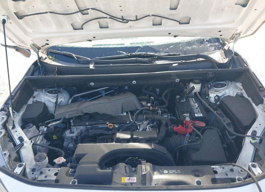 Photo 10 of 2019 Toyota Rav4 XLE PREMIUM (VIN 2T3C1RFV1KW054021)