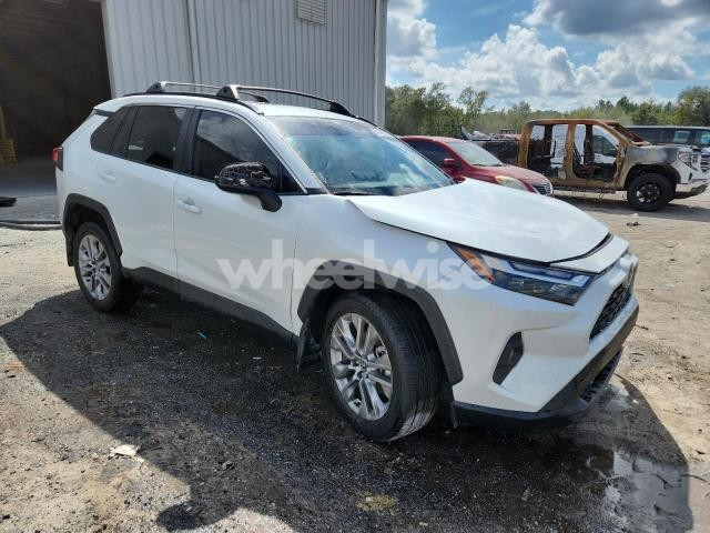 Photo 4 of 2025 TOYOTA RAV4 XLE PREMIUM (VIN 2T3C1RFV2SW382497)