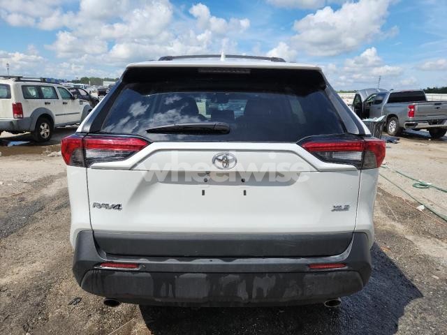 Photo 6 of 2025 TOYOTA RAV4 XLE PREMIUM (VIN 2T3C1RFV2SW382497)