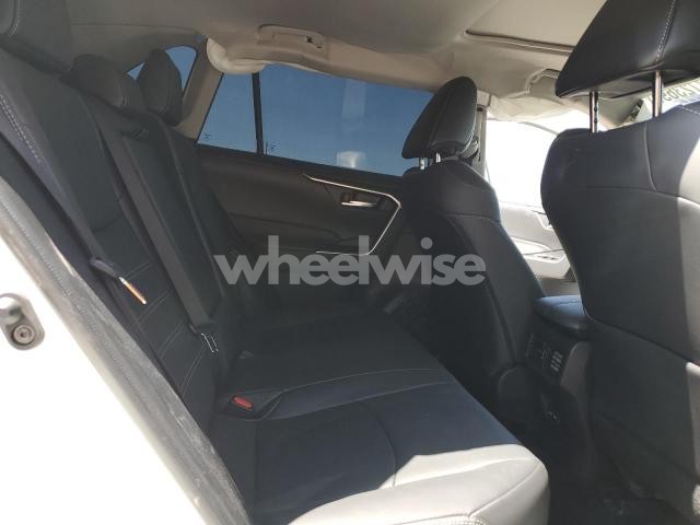 Photo 10 of 2025 TOYOTA RAV4 XLE PREMIUM (VIN 2T3C1RFV4SW388253)