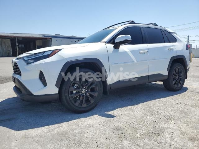 Photo 5 of 2025 TOYOTA RAV4 XLE PREMIUM (VIN 2T3C1RFV4SW388253)