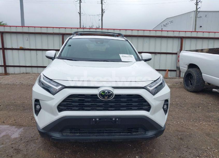 Photo 13 of 2025 Toyota Rav4 XLE PREMIUM (VIN 2T3C1RFV5SW369078)