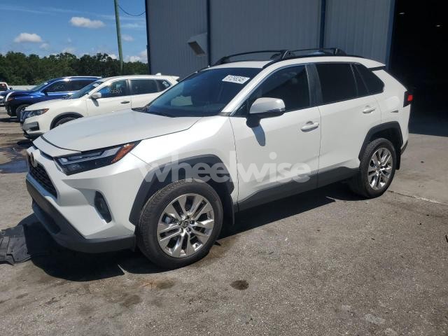 Photo 11 of 2025 TOYOTA RAV4 XLE PREMIUM (VIN 2T3C1RFV8SW366661)