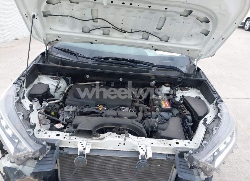 Photo 10 of 2019 Toyota Rav4 XLE PREMIUM (VIN 2T3C1RFV9KC007255)