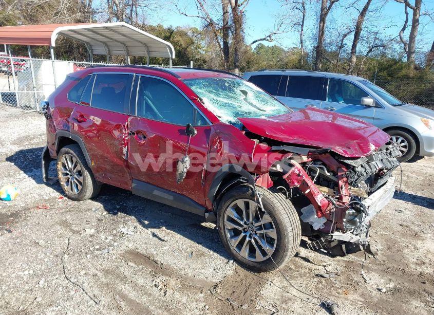 2019 Toyota Rav4 XLE PREMIUM (VIN 2T3C1RFVXKW017937) main photo