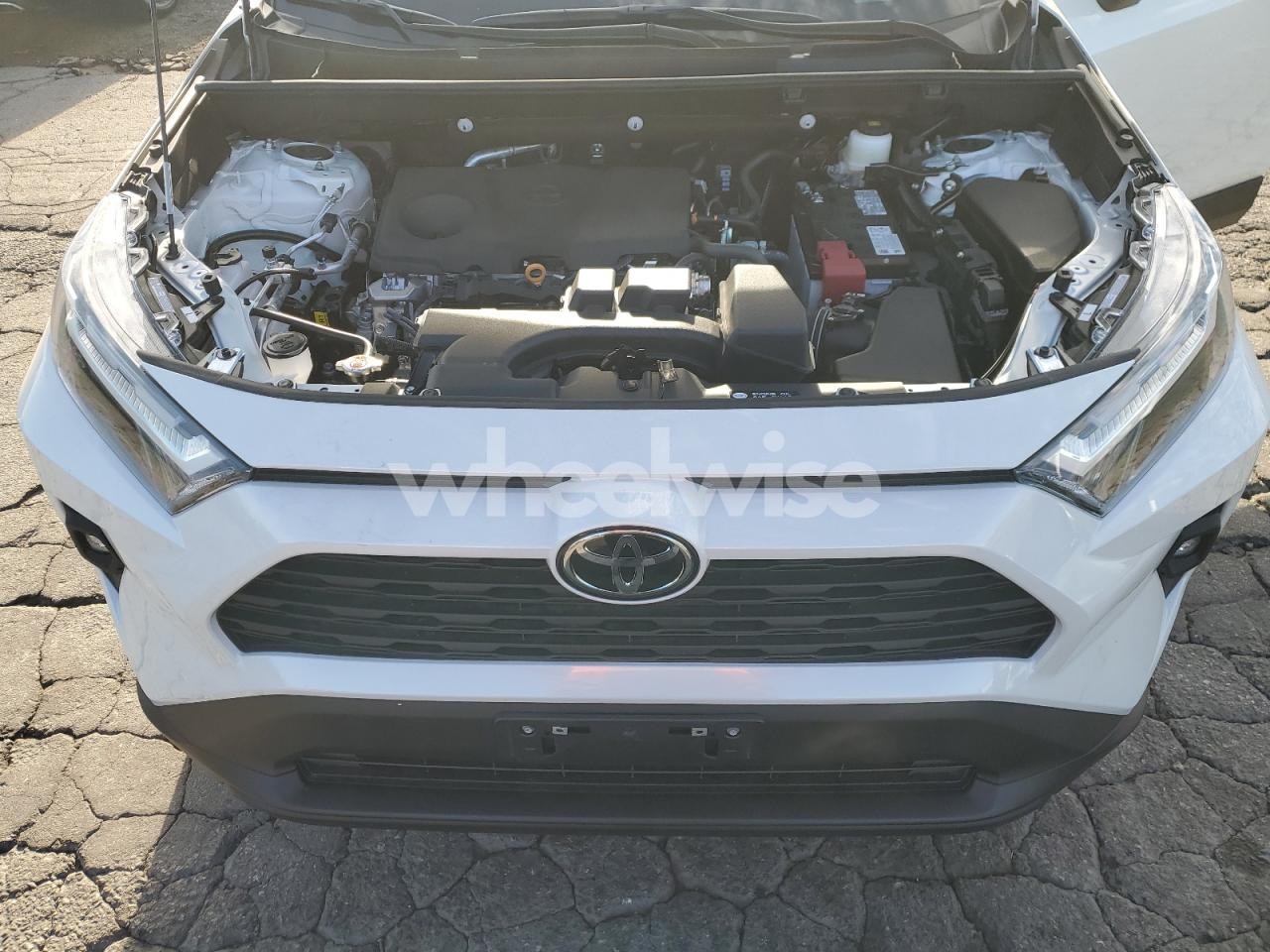 Photo 12 of 2025 TOYOTA RAV4 XLE PREMIUM (VIN 2T3C1RFVXSW417805)