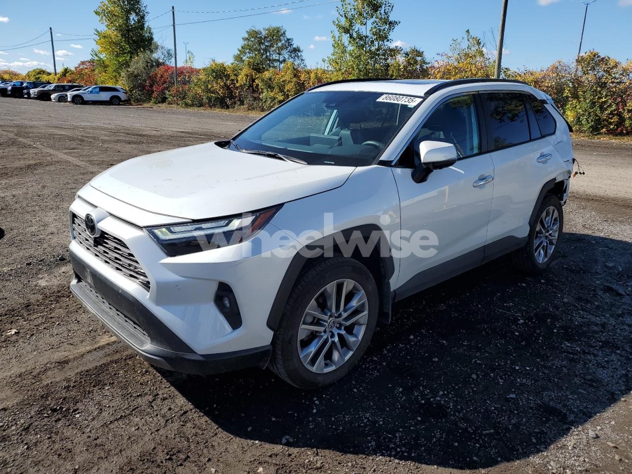 2023 TOYOTA RAV4 LIMITED (VIN 2T3D1RFV7PW377307) main photo