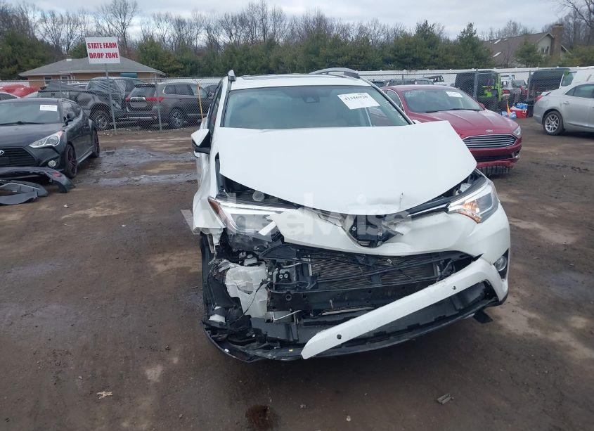 2017 Toyota Rav4 LIMITED/SE/PLATINUM (VIN 2T3DFREV7HW541675) main photo