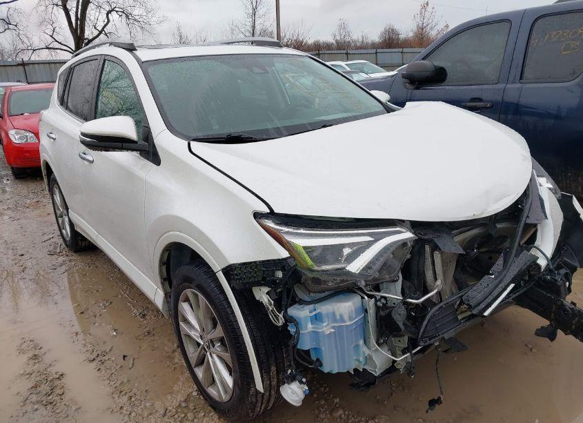 2017 Toyota Rav4 PLATINUM (VIN 2T3DFREV9HW547574) main photo