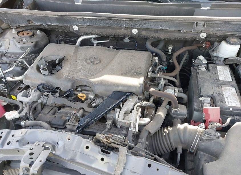 Photo 10 of 2019 Toyota Rav4 LE (VIN 2T3F1RFV2KW060522)