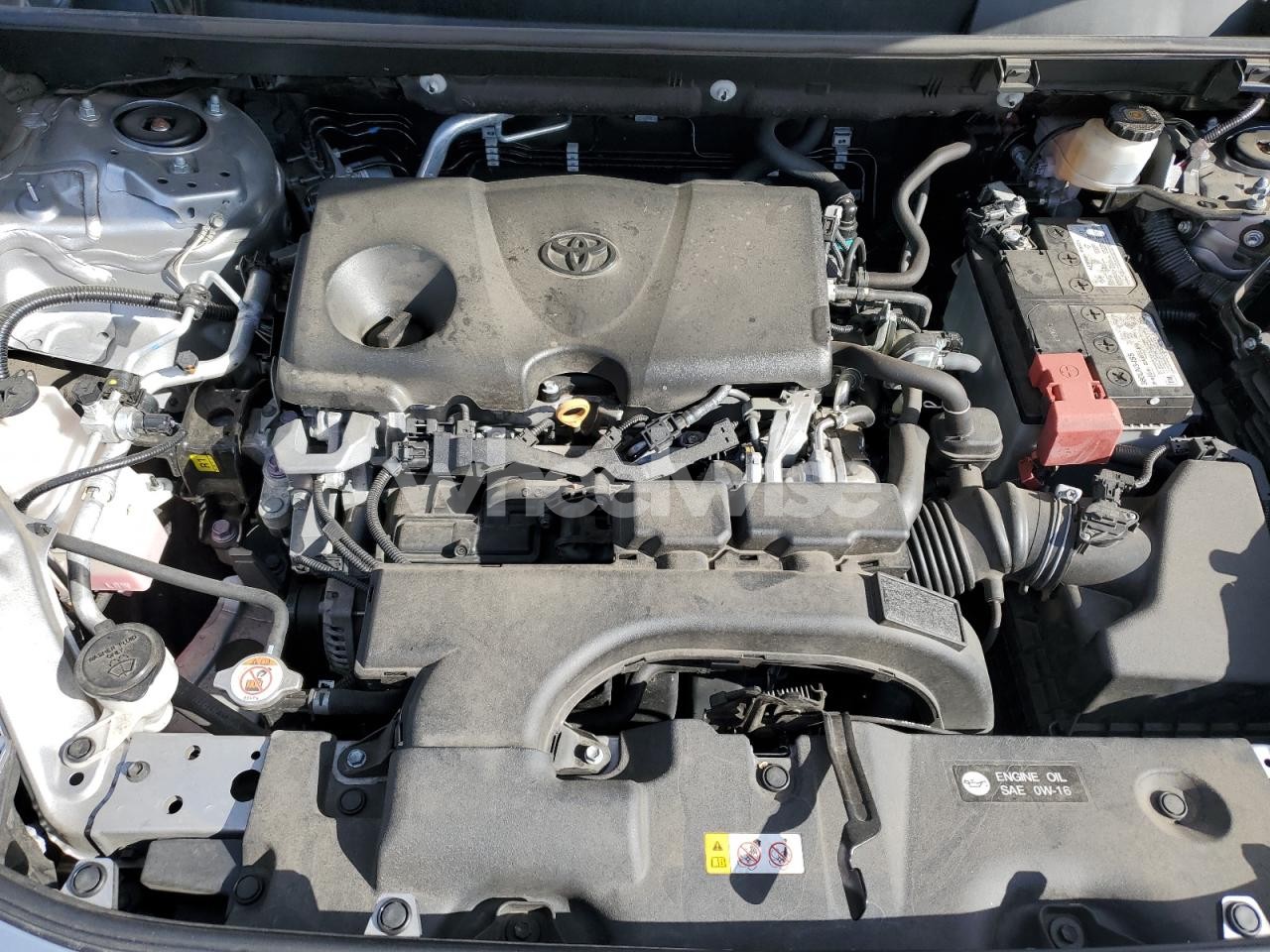 Photo 12 of 2019 TOYOTA RAV4 LE (VIN 2T3F1RFV3KC015008)