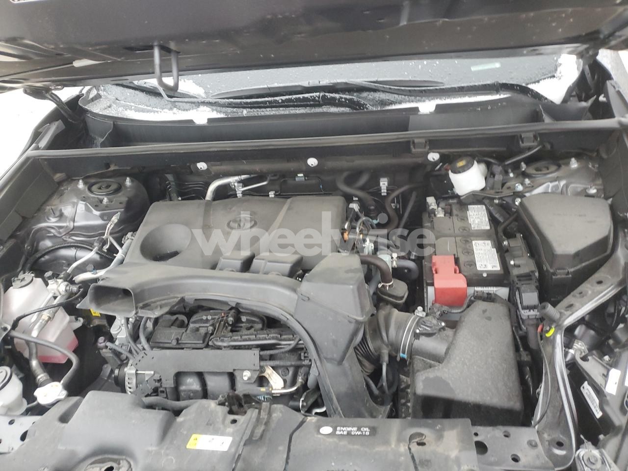 Photo 12 of 2025 TOYOTA RAV4 LE (VIN 2T3F1RFV4SW527973)