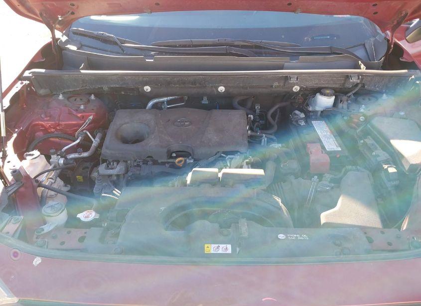 Photo 10 of 2019 Toyota Rav4 LE (VIN 2T3G1RFV2KC034492)