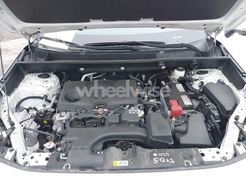 Photo 10 of 2024 Toyota Rav4 LE (VIN 2T3G1RFV3RC463800)