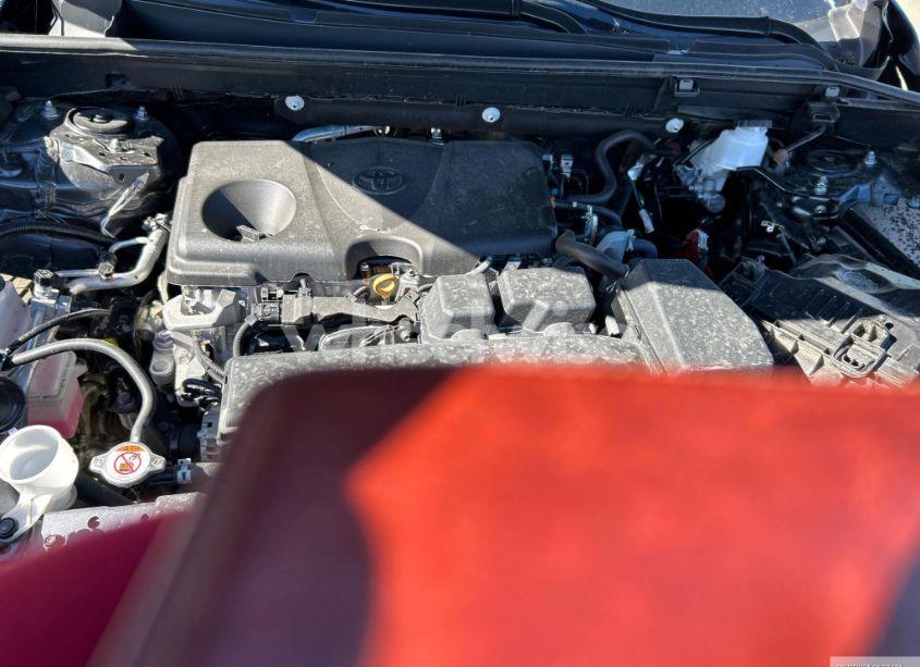 Photo 10 of 2023 Toyota Rav4 LE (VIN 2T3G1RFV4PC341007)