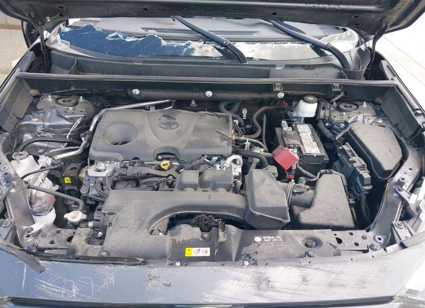 Photo 10 of 2023 Toyota Rav4 LE (VIN 2T3H1RFV1PC234291)