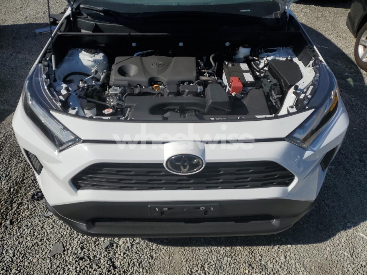 Photo 12 of 2025 TOYOTA RAV4 LE (VIN 2T3H1RFV3SW423001)