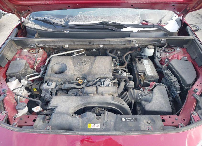 Photo 10 of 2019 Toyota Rav4 LE (VIN 2T3H1RFV4KW046517)