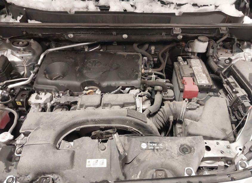 Photo 10 of 2021 Toyota Rav4 LE (VIN 2T3H1RFV5MC123450)