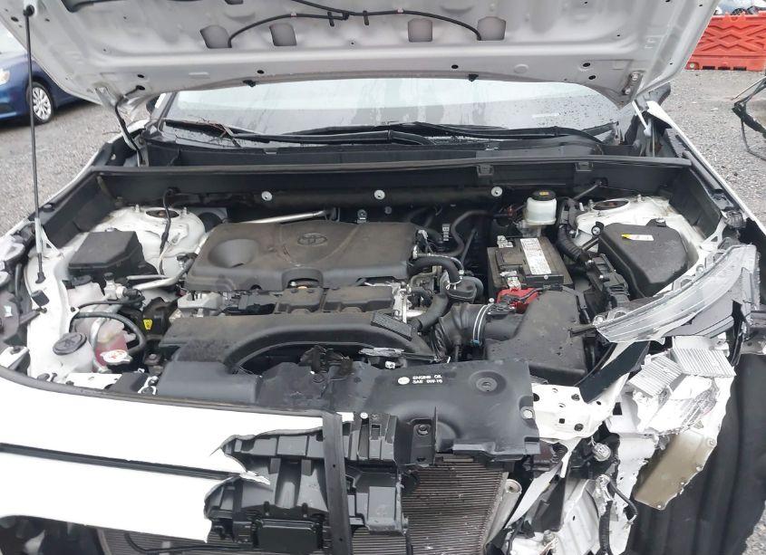 Photo 10 of 2019 Toyota Rav4 LE (VIN 2T3H1RFV9KC019377)