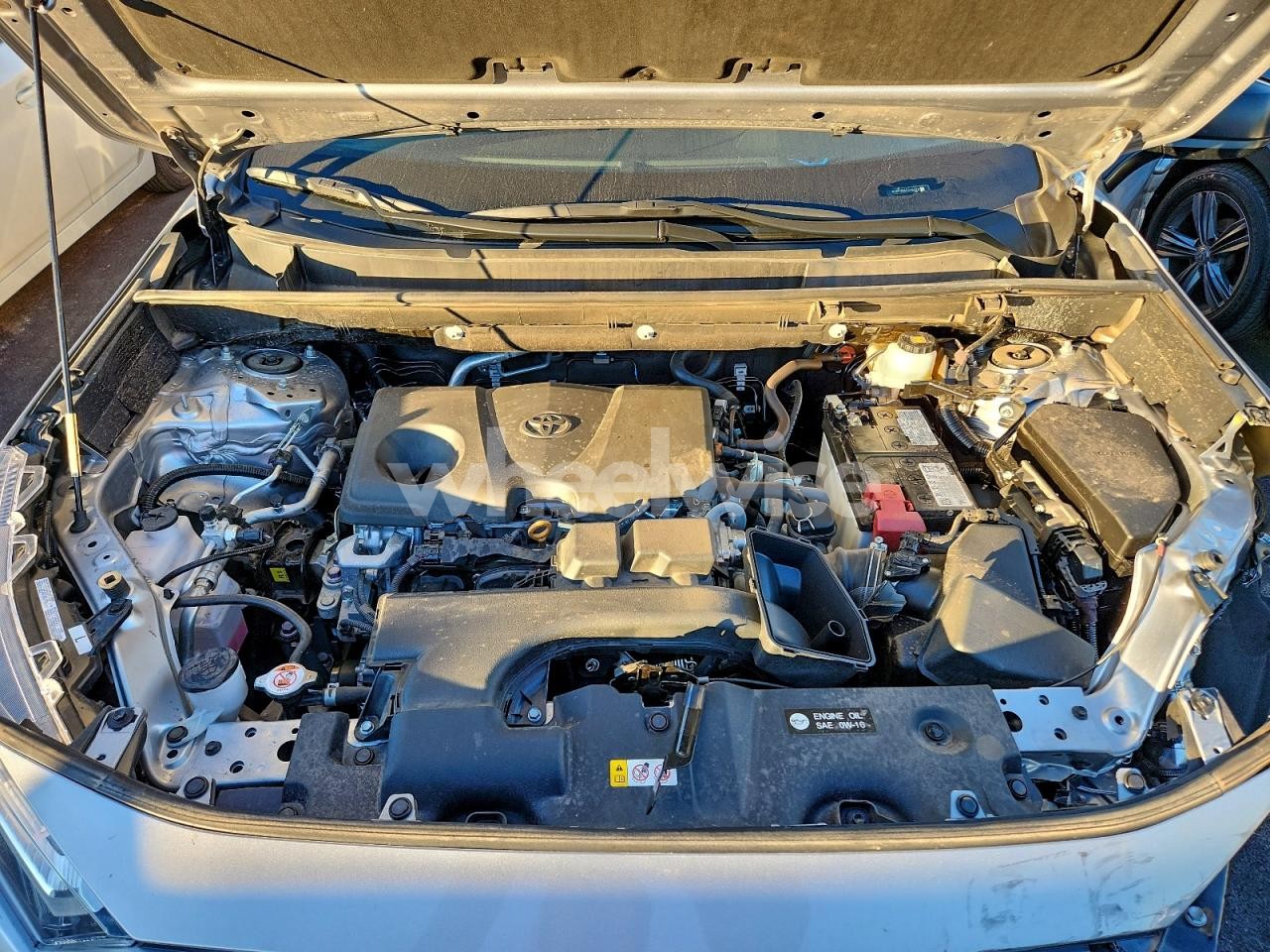 Photo 12 of 2025 TOYOTA RAV4 LE (VIN 2T3H1RFV9SC316925)