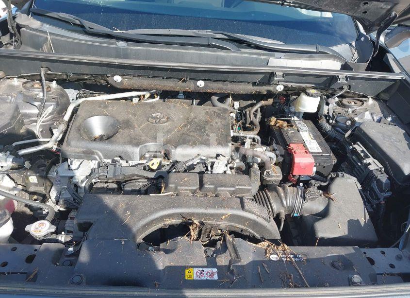 Photo 10 of 2019 Toyota Rav4 LE (VIN 2T3H1RFVXKC015094)