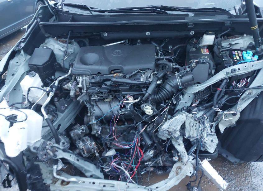 Photo 10 of 2019 Toyota Rav4 ADVENTURE (VIN 2T3J1RFV7KW007759)