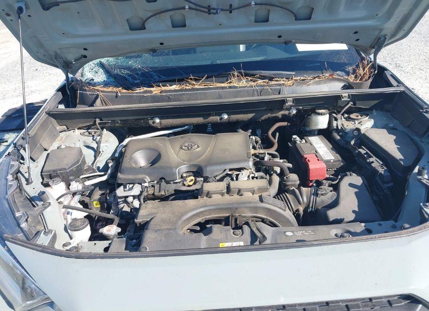 Photo 10 of 2019 Toyota Rav4 ADVENTURE (VIN 2T3J1RFVXKC044001)