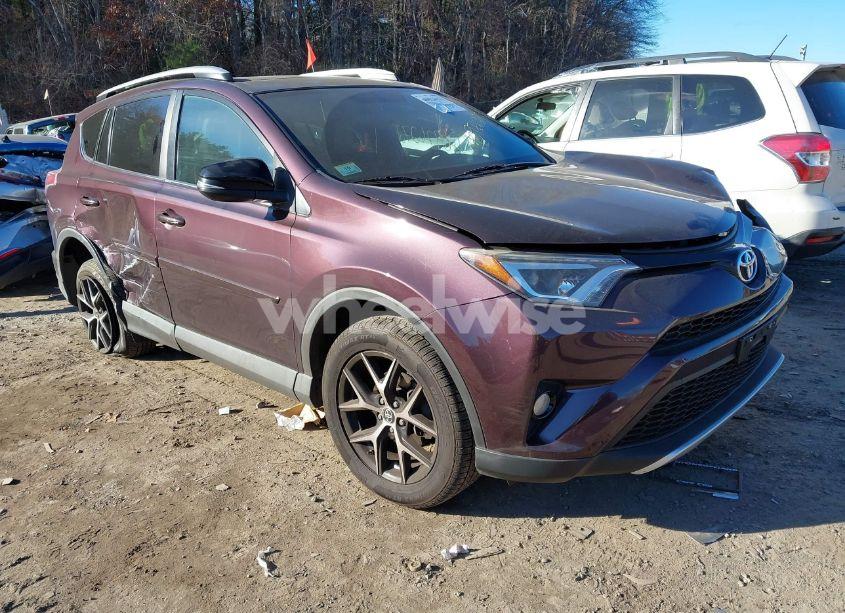 2016 Toyota Rav4 SE (VIN 2T3JFREV9GW501664) main photo