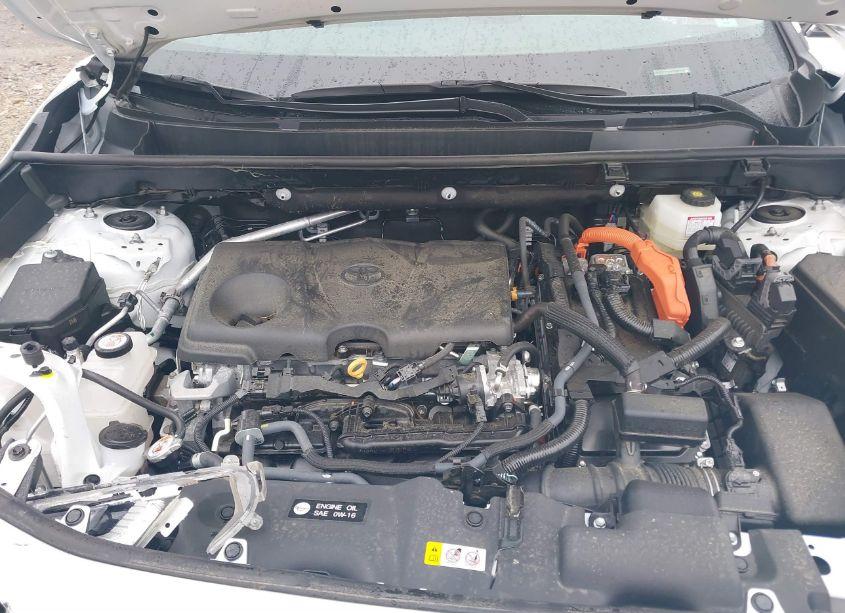 Photo 10 of 2024 Toyota Rav4 HYBRID LE (VIN 2T3LWRFV1RW212269)
