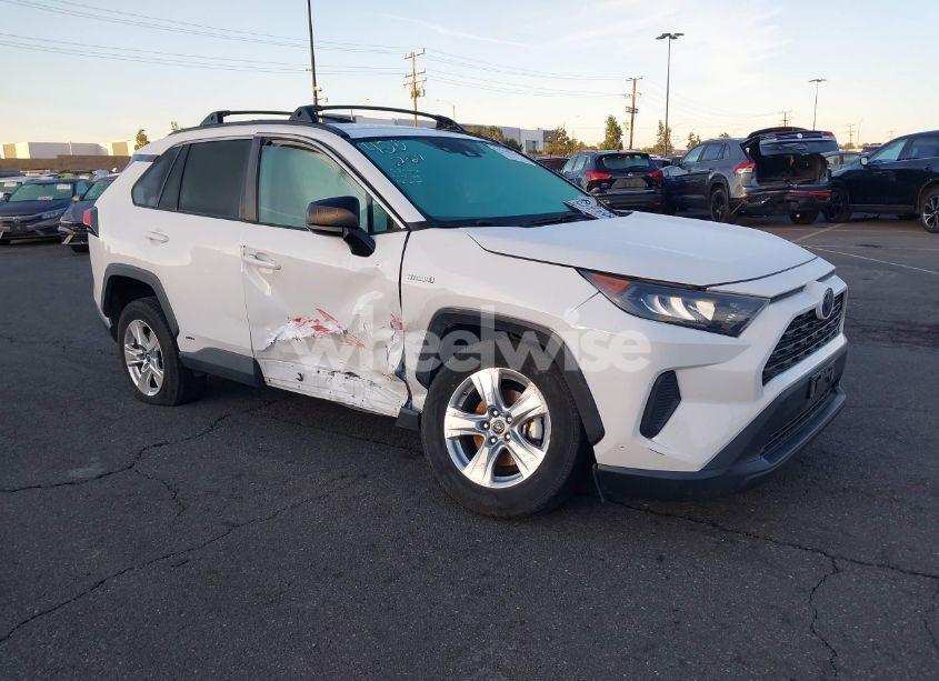2020 Toyota Rav4 (VIN 2T3LWRFV3LW064486) main photo