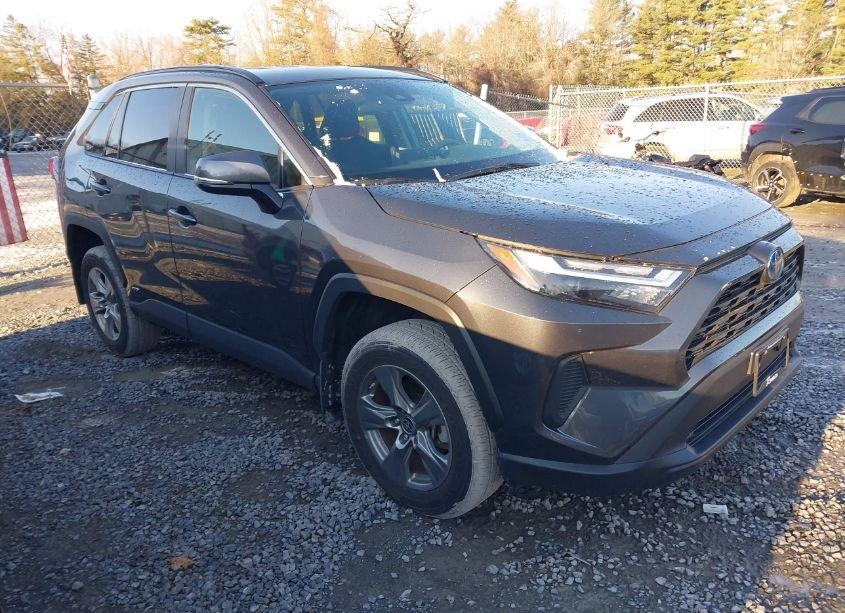 2024 Toyota Rav4 HYBRID LE (VIN 2T3MWRFV4RW199876) main photo