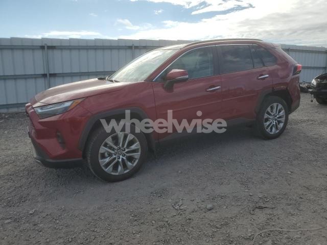 Photo 2 of 2024 TOYOTA RAV4 LIMITED (VIN 2T3N1RFV3RW413274)