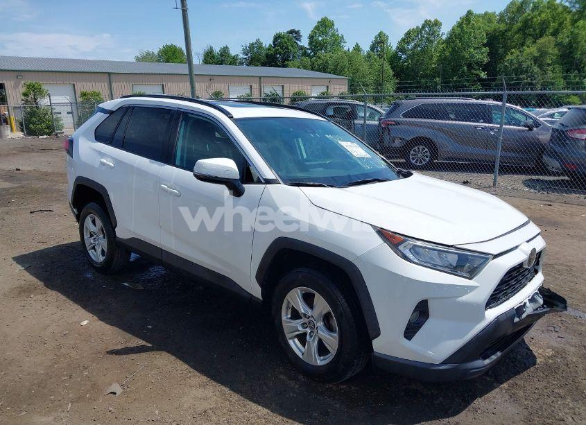 2019 Toyota Rav4 XLE (VIN 2T3P1RFV0KC007727) main photo