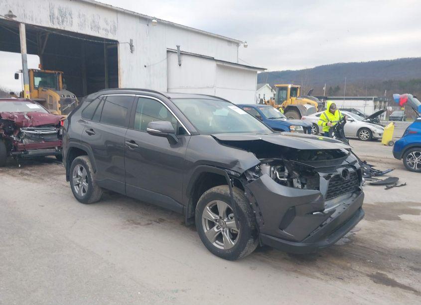 2024 Toyota Rav4 XLE (VIN 2T3P1RFV0RC431113) main photo