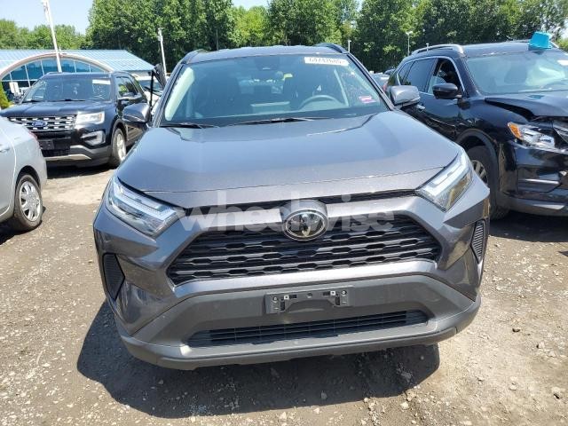 Photo 11 of 2024 TOYOTA RAV4 XLE (VIN 2T3P1RFV0RC431189)