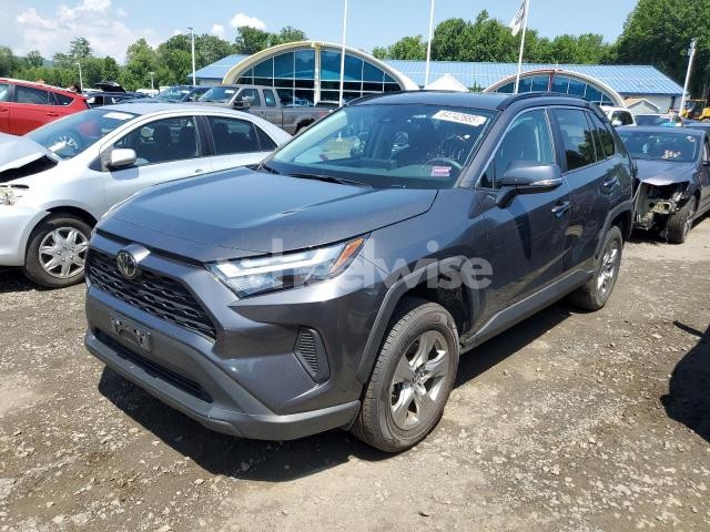 Photo 7 of 2024 TOYOTA RAV4 XLE (VIN 2T3P1RFV0RC431189)