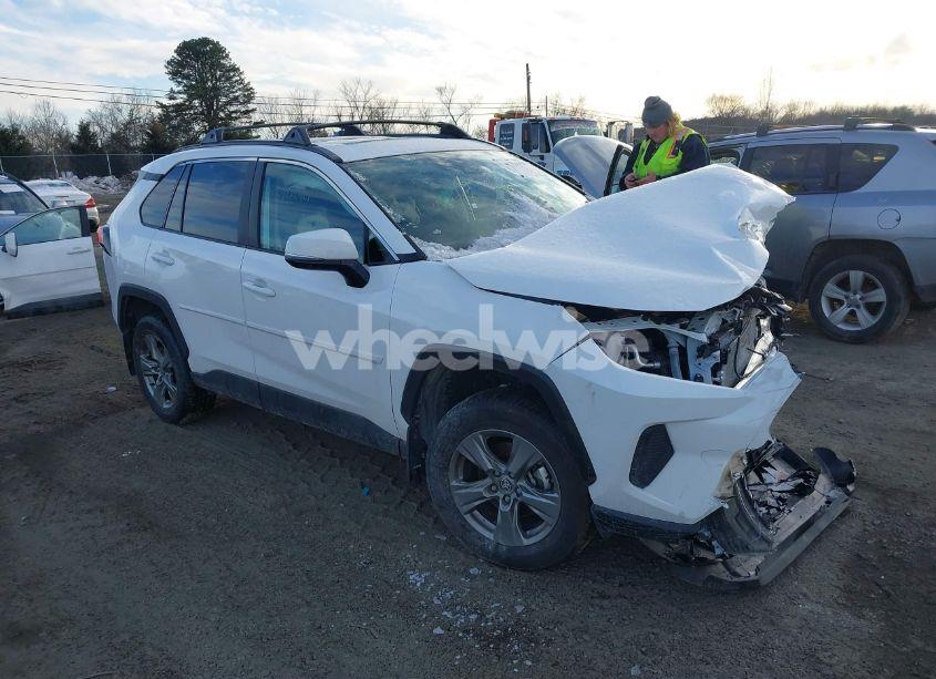 2024 Toyota Rav4 XLE (VIN 2T3P1RFV0RC447702) main photo