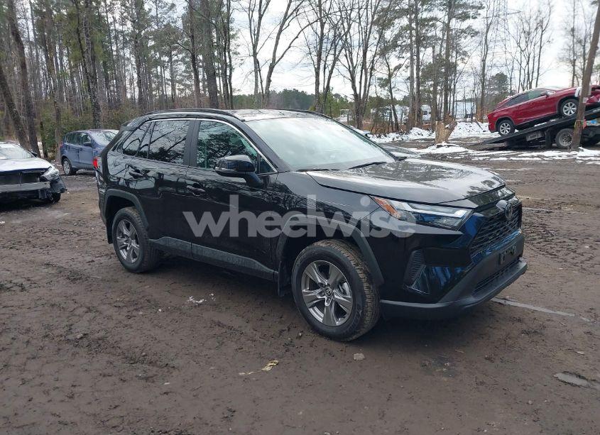 2024 Toyota Rav4 XLE (VIN 2T3P1RFV0RC455282) main photo