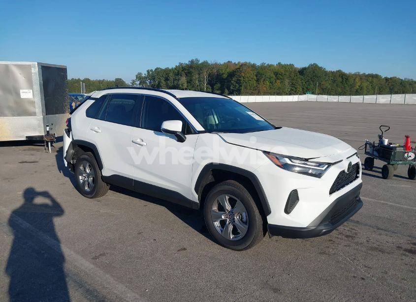 2024 Toyota Rav4 XLE (VIN 2T3P1RFV0RW466409) main photo