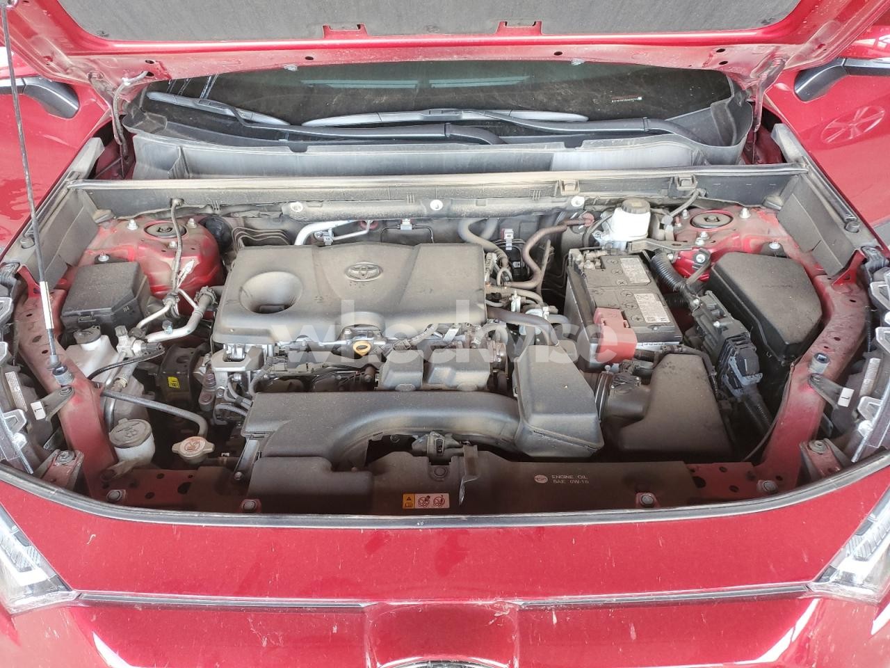 Photo 11 of 2025 TOYOTA RAV4 XLE (VIN 2T3P1RFV0SW502783)