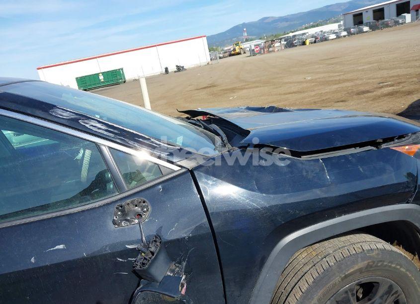 Photo 19 of 2019 Toyota Rav4 XLE (VIN 2T3P1RFV1KC018445)