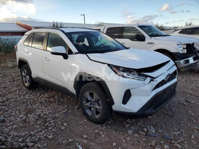 2025 TOYOTA RAV4 XLE (VIN 2T3P1RFV1SW542886) main photo
