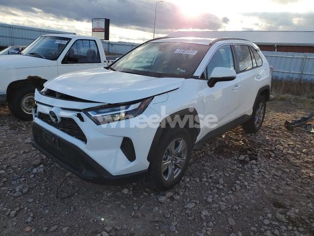 Photo 11 of 2025 TOYOTA RAV4 XLE (VIN 2T3P1RFV1SW542886)