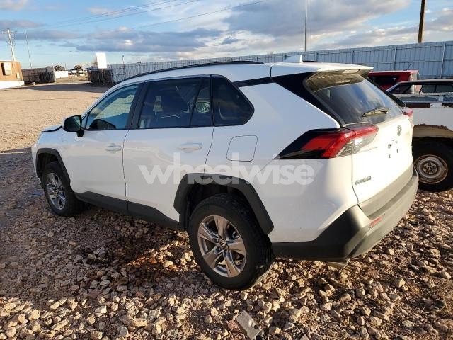Photo 13 of 2025 TOYOTA RAV4 XLE (VIN 2T3P1RFV1SW542886)