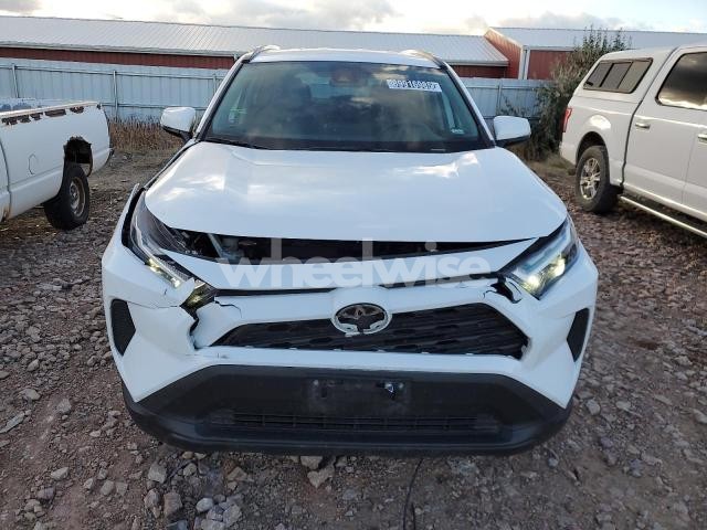 Photo 7 of 2025 TOYOTA RAV4 XLE (VIN 2T3P1RFV1SW542886)