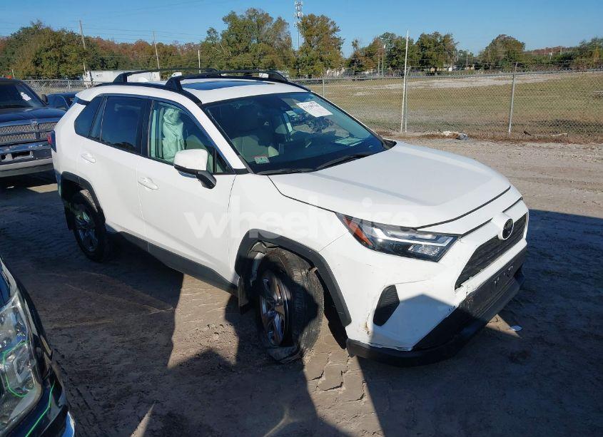 2023 Toyota Rav4 XLE (VIN 2T3P1RFV2PC349249) main photo