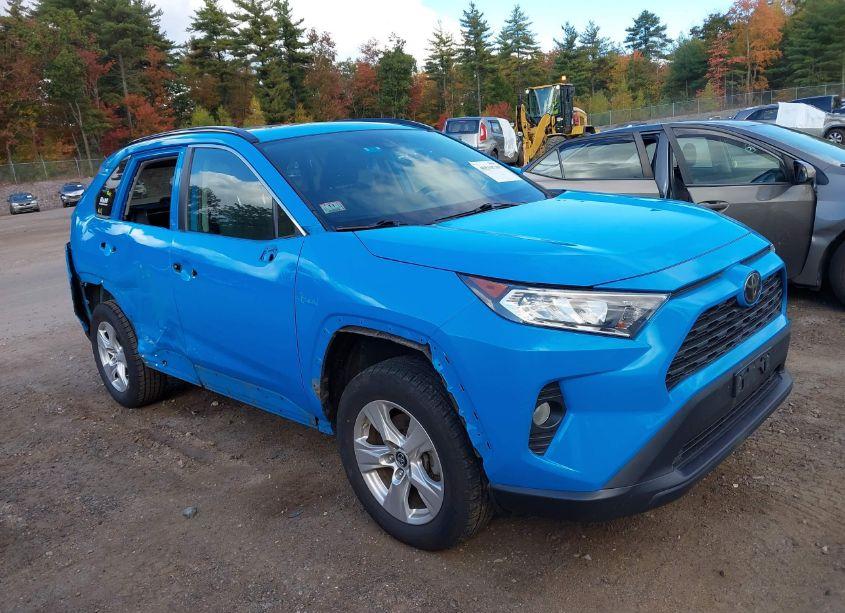 2019 Toyota Rav4 XLE (VIN 2T3P1RFV3KC007298) main photo
