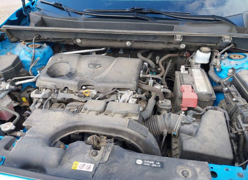 Photo 10 of 2019 Toyota Rav4 XLE (VIN 2T3P1RFV3KC007298)